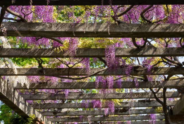 Do you want to make a pergola with, for example, a shade cloth? Then read on, because in the blog we tell you why you can do it yourself!